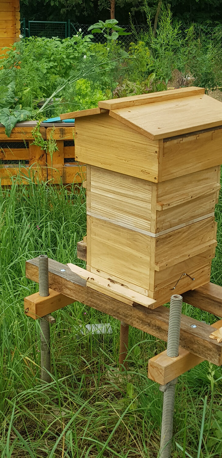 Unsere erste kleine Warré-Beute im Garten