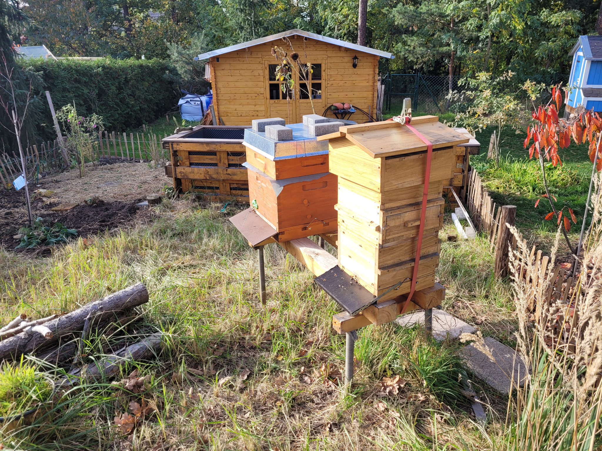 Unsere Warré-Beute und Dadant-Beute nebeneinander im Garten im Herbst 2021
